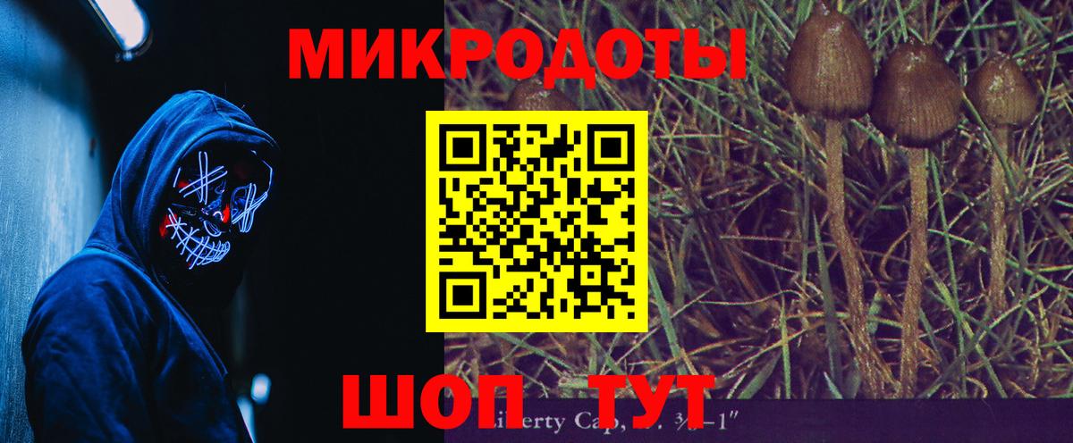 Галлюциногенные грибы GOLDEN TEACHER  Вход с VPN  Ейск 